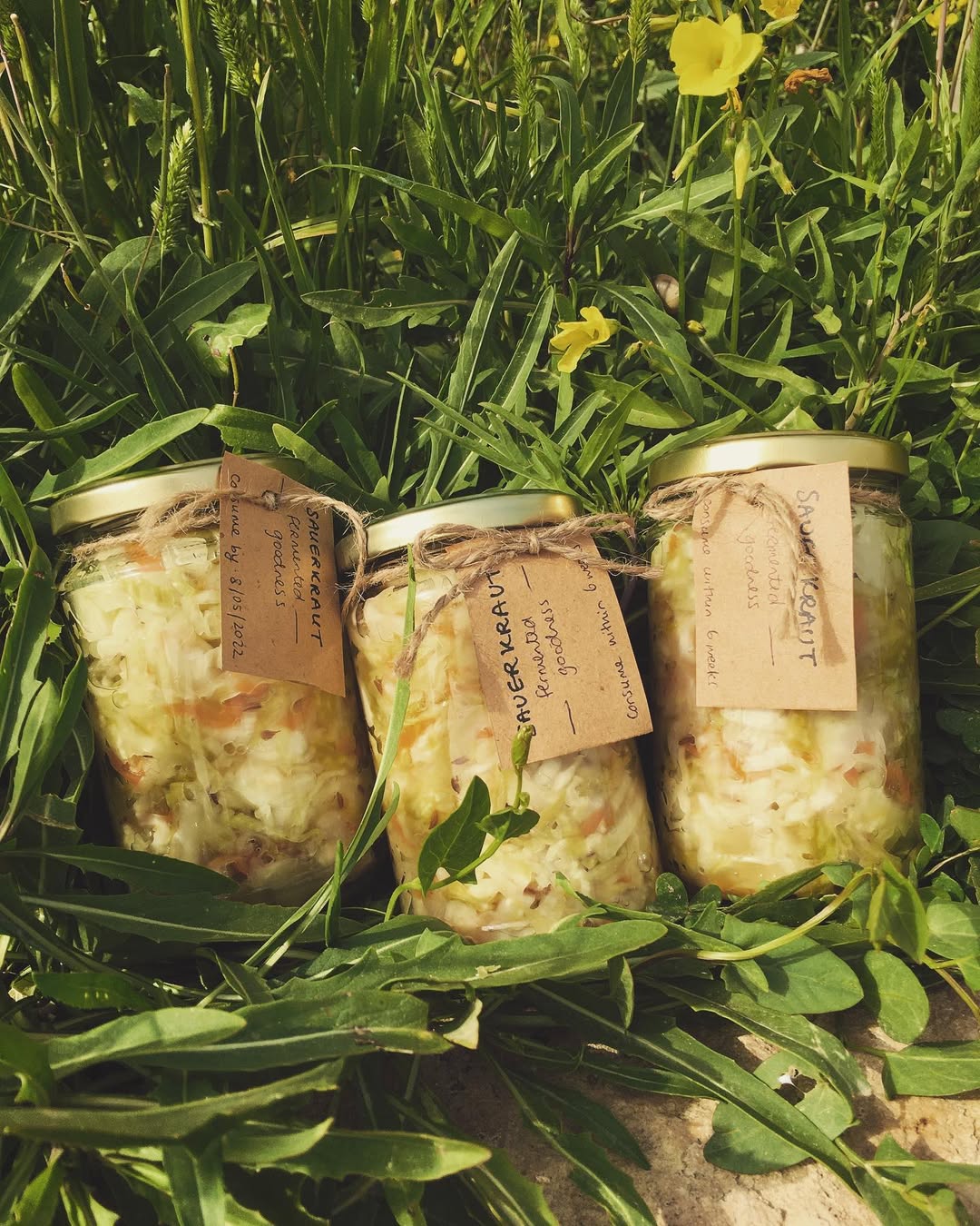 Photo by Asatoma_Conscious Food Choices on March 28, 2022.