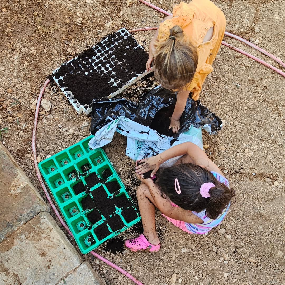 Photo by Asatoma_Conscious Food Choices on June 24, 2025.