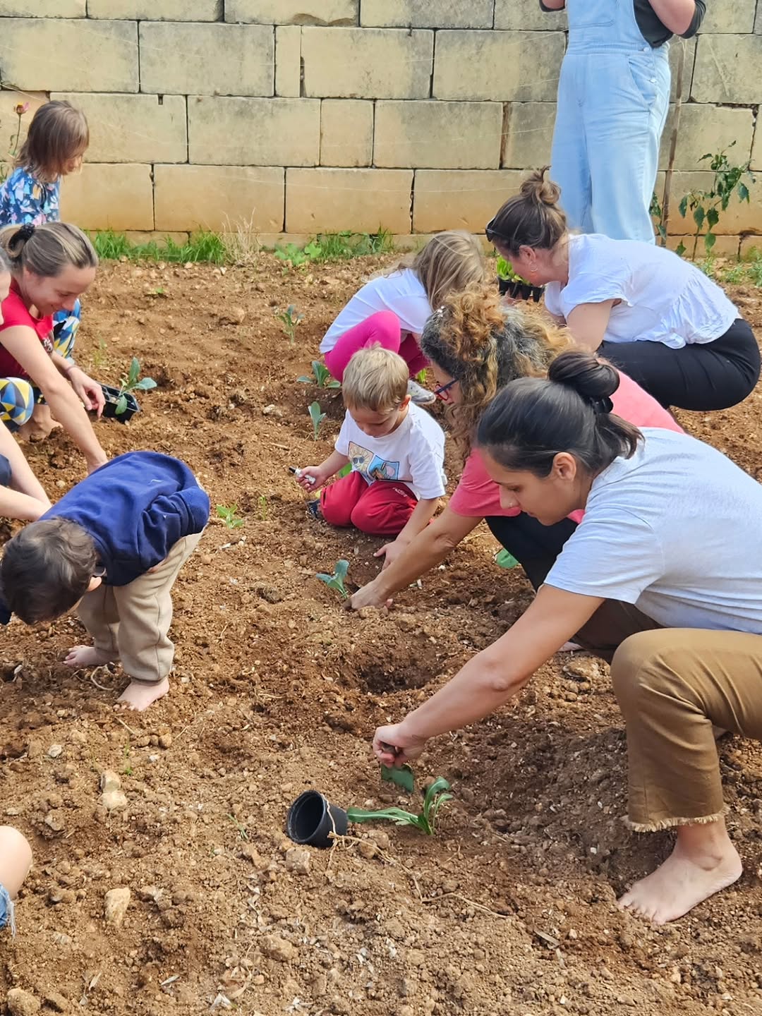 Asatoma garden events background