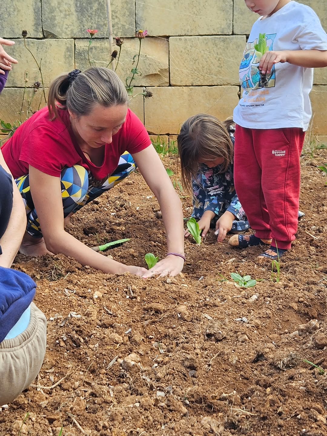 Photo shared by Asatoma_Conscious Food Choices on November 08, 2025 tagging @criharmer_charmerz, and @secret.garden.gozo.