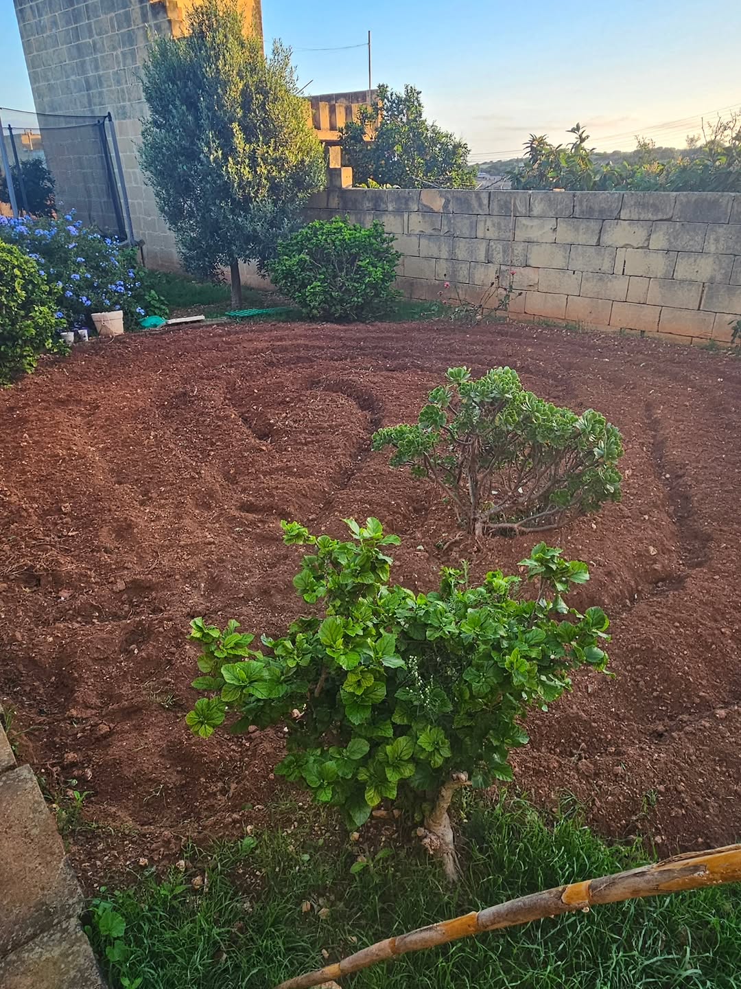 Photo shared by Asatoma_Conscious Food Choices on November 08, 2025 tagging @criharmer_charmerz, and @secret.garden.gozo.