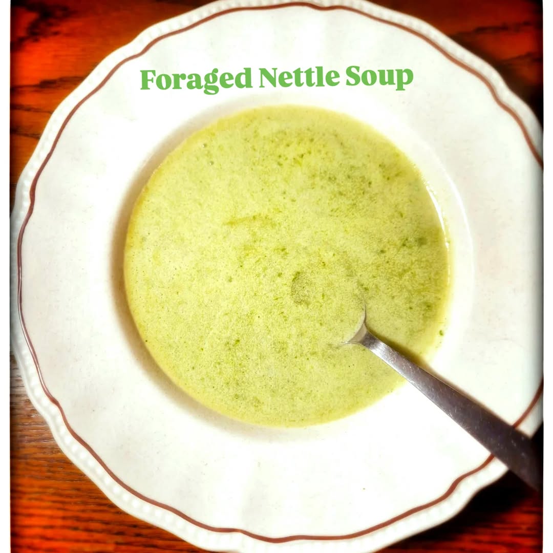 Photo by Asatoma_Conscious Food Choices on February 01, 2026. May be an image of potpie, shepherd's pie, hand pie, pie and text that says 'Chicken and leek pie'.