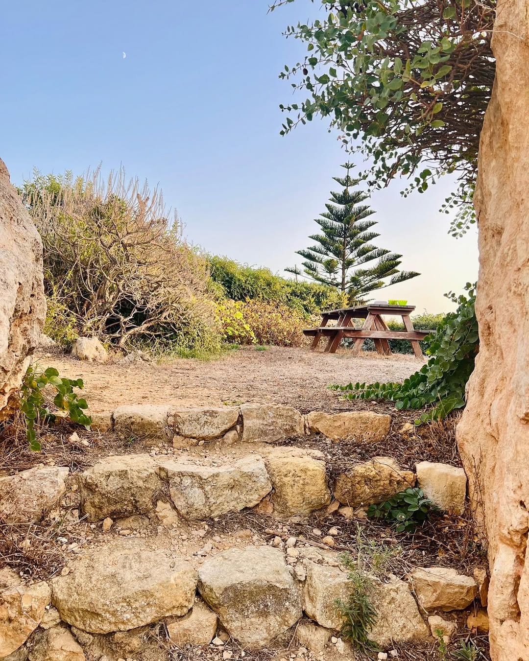 Photo shared by Asatoma_Conscious Food Choices on September 08, 2022 tagging @dianemifsud, and @criharmer_charmerz.