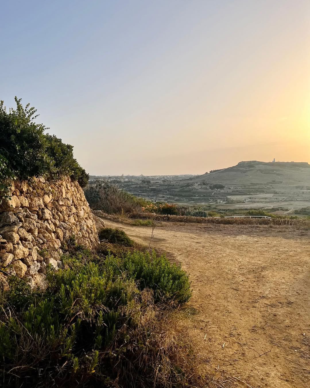 Photo shared by Asatoma_Conscious Food Choices on September 08, 2022 tagging @dianemifsud, and @criharmer_charmerz.