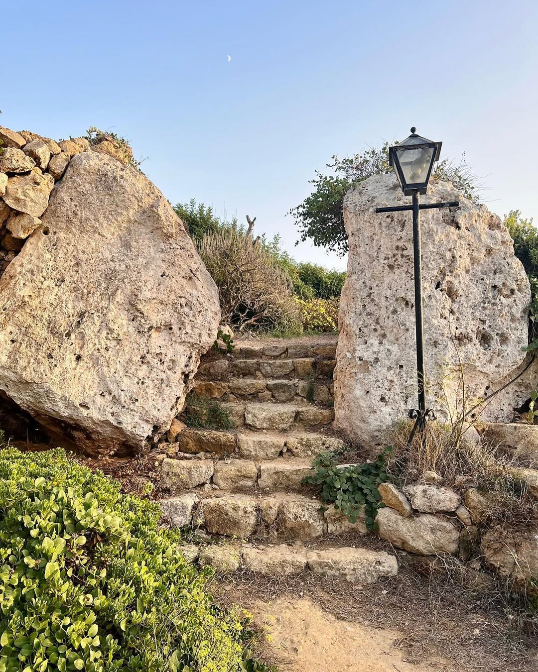 Photo shared by Asatoma_Conscious Food Choices on September 08, 2022 tagging @dianemifsud, and @criharmer_charmerz.