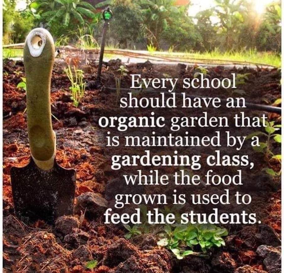 Photo by Asatoma_Conscious Food Choices on August 03, 2022.